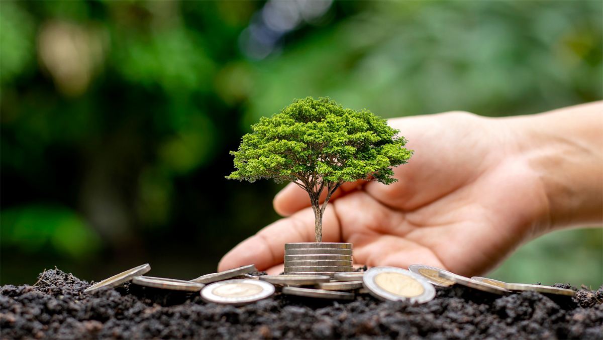 千豐圓用科技減塑,打造綠色供應鏈